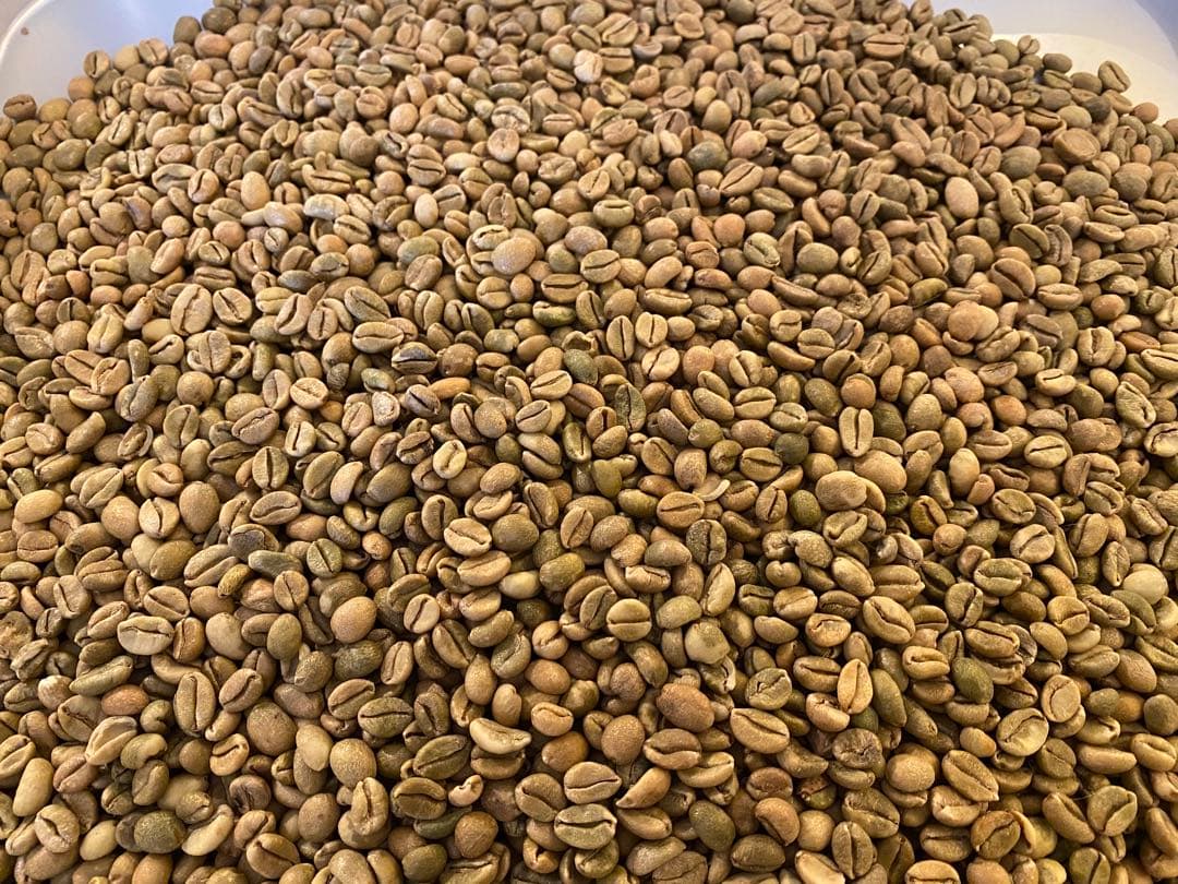 ウガンダ チャガラニ リベリカ種（エクセルサ種） ナチュラル 生豆 5kg