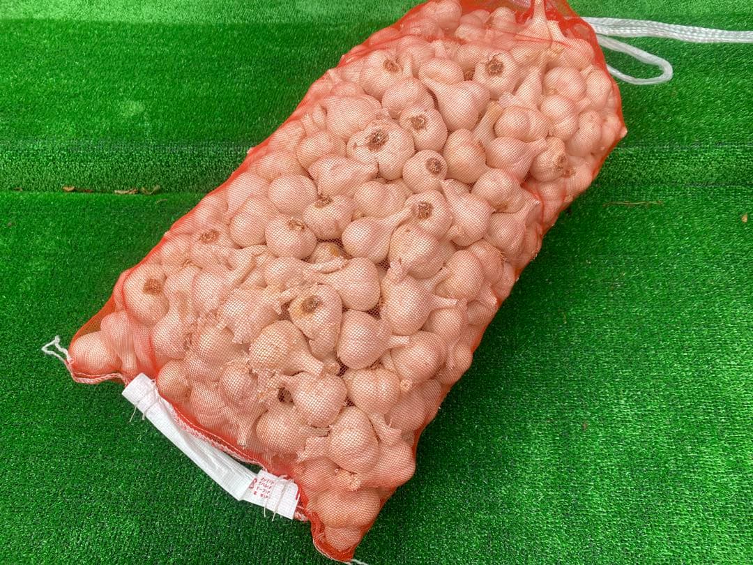 特価品！　Sサイズ　10kg 青森産 乾燥にんにく 福地ホワイト六片 ニンニク