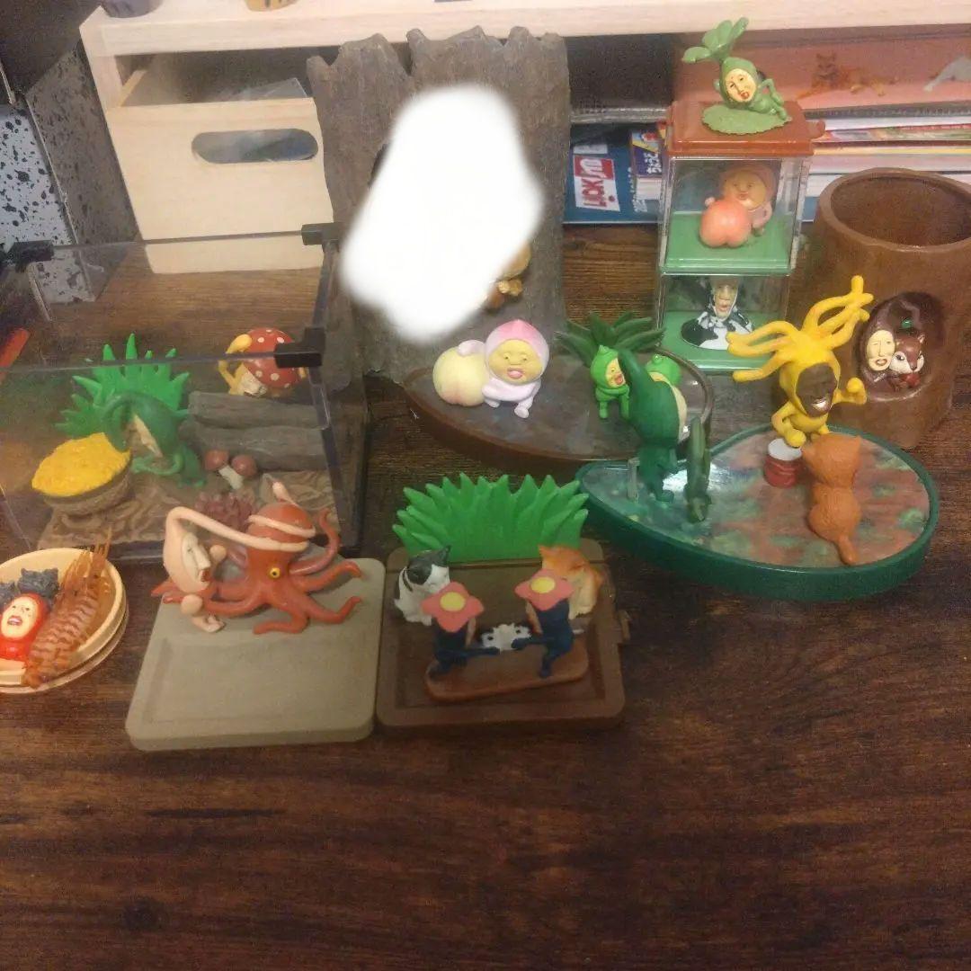 【早い者勝ち】こびとづかん生態系セット