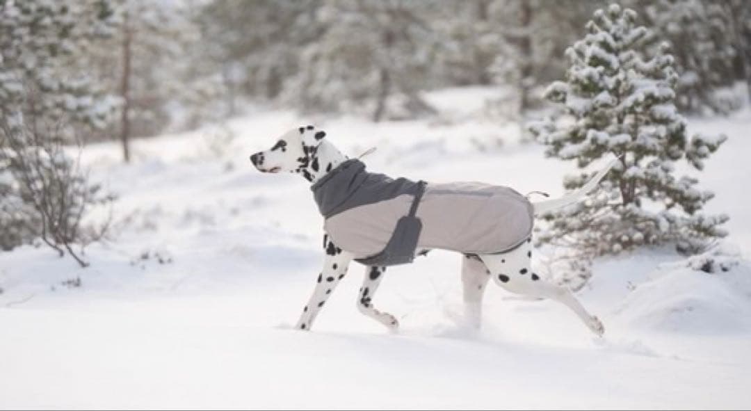 Glacier wool jacket 3.0 極寒地用高機能犬用ジャケット