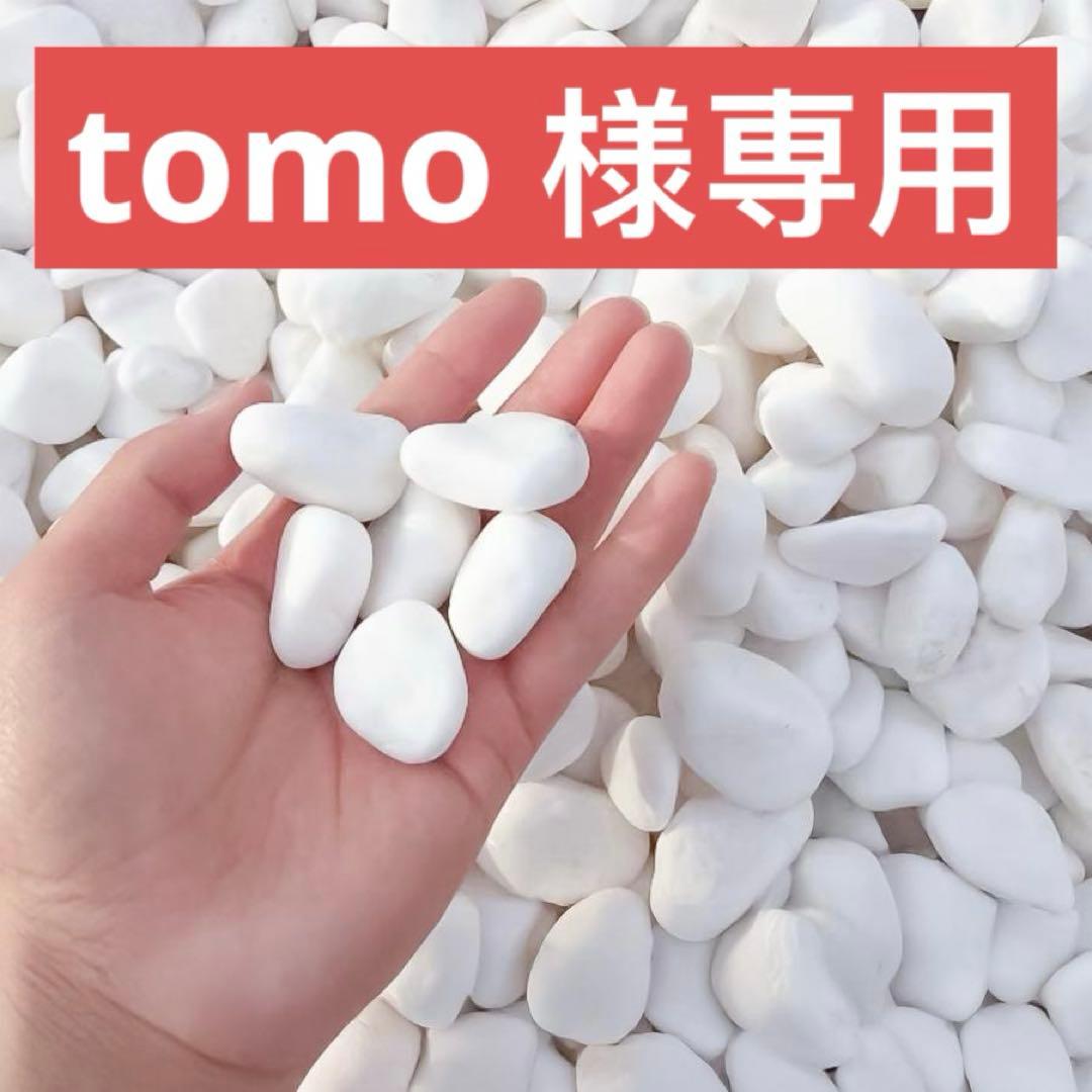 tomo 10個セット