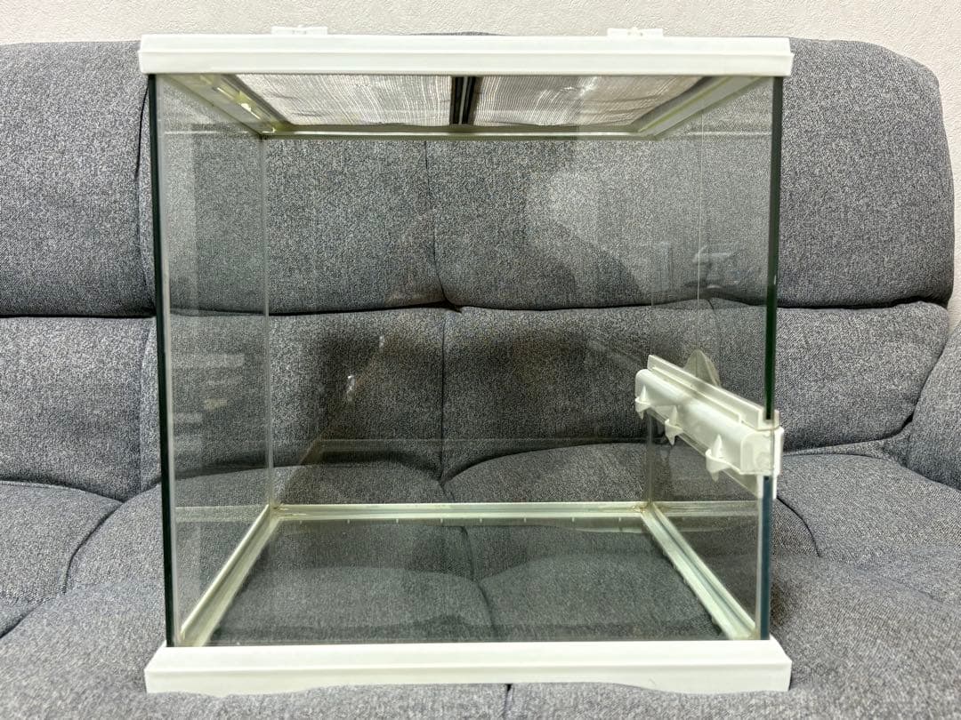 GEX グラステラリウム　30×30 ホワイト