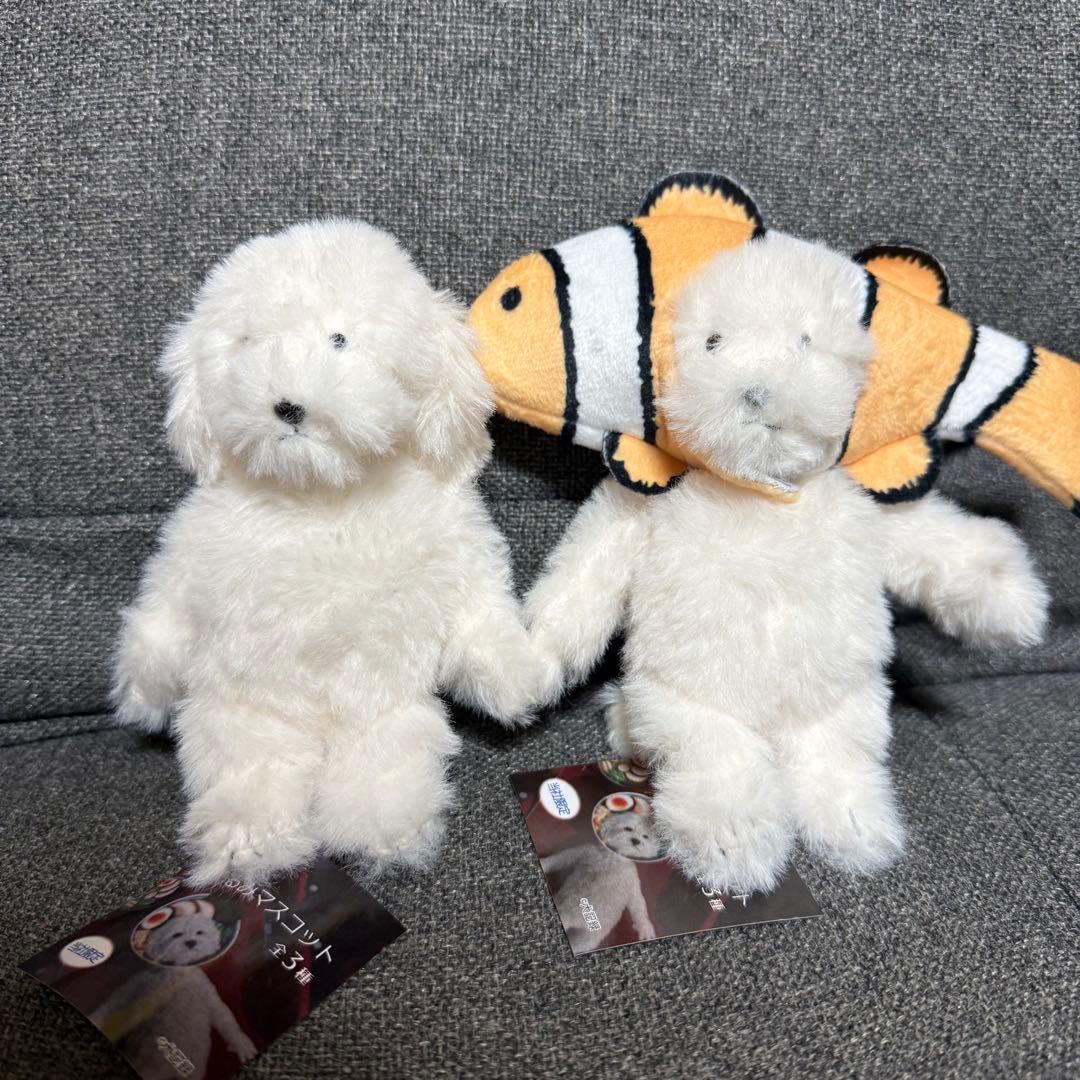 モーリーファンタジー　犬記録　ぬいぐるみマスコット　クマノミ ノーマル セット