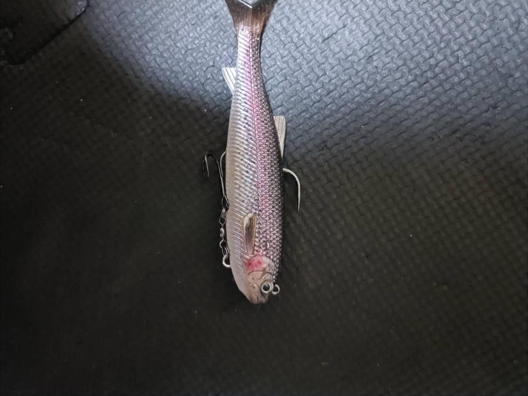 バス釣り引退品お得