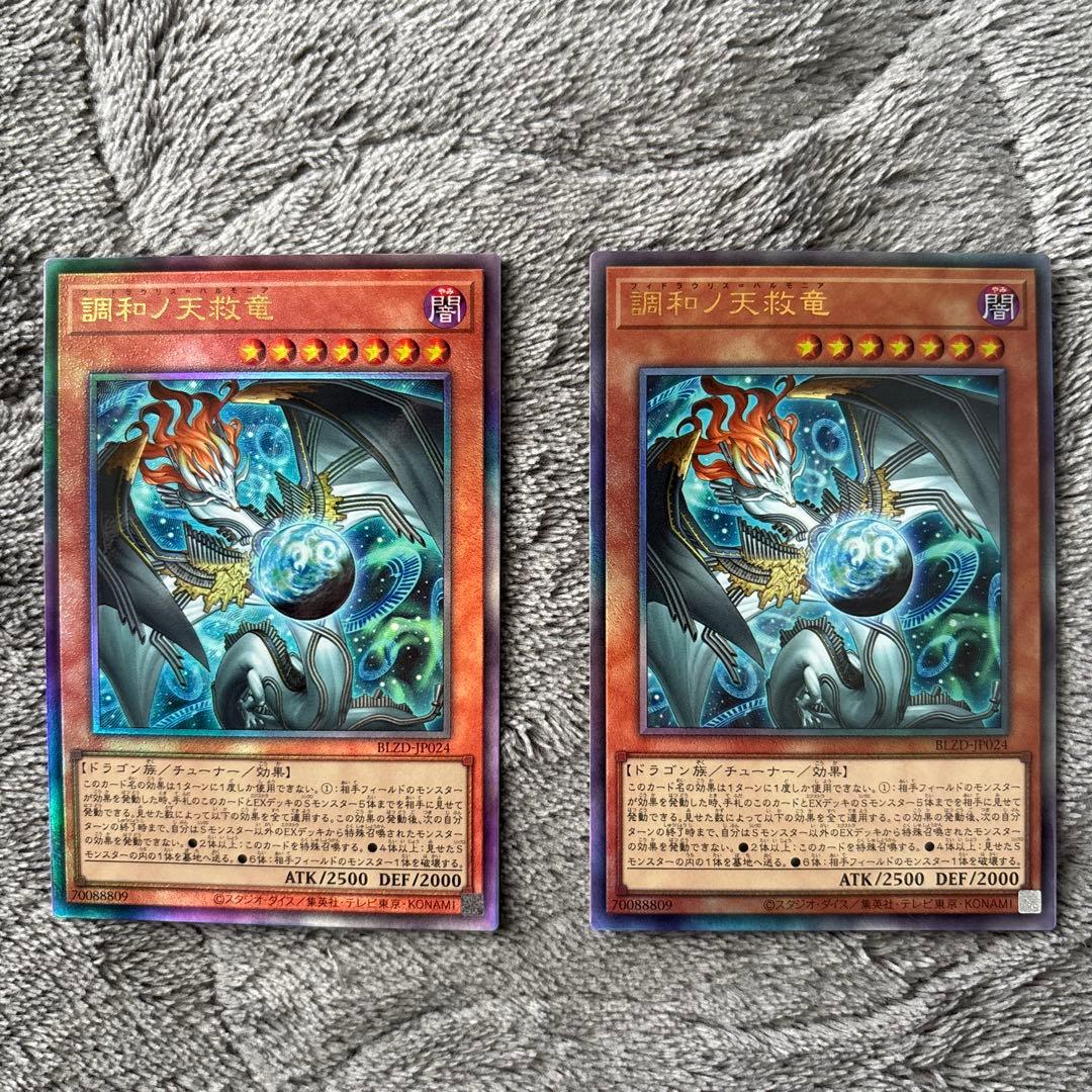 調和ノ天救竜 レリーフ　2枚セット