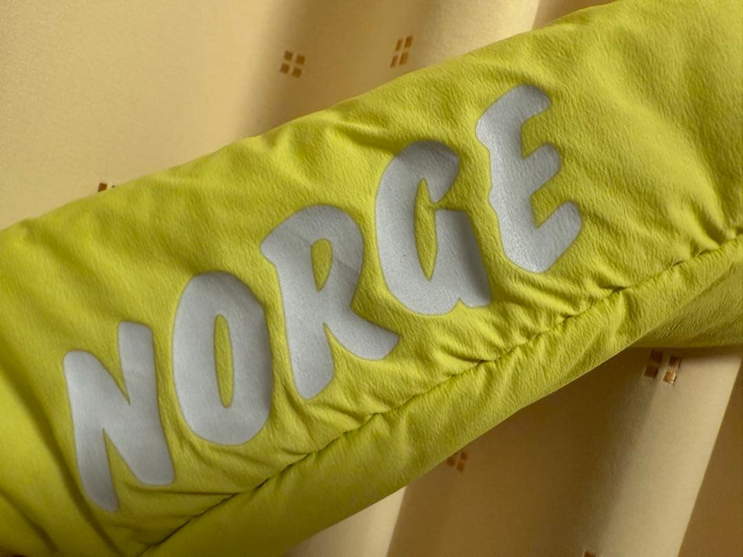 Phenix ノルウェーチームスキーウェア　ジュニアLサイズ　175cm