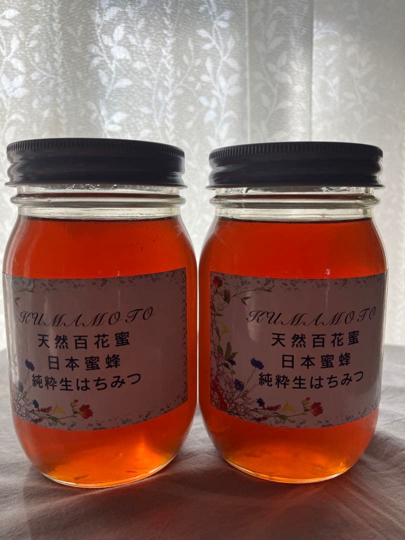 ハチミツ 日本蜜蜂のはちみつ 非加熱無添加 純粋生のハチミツ　５６０g入り２本