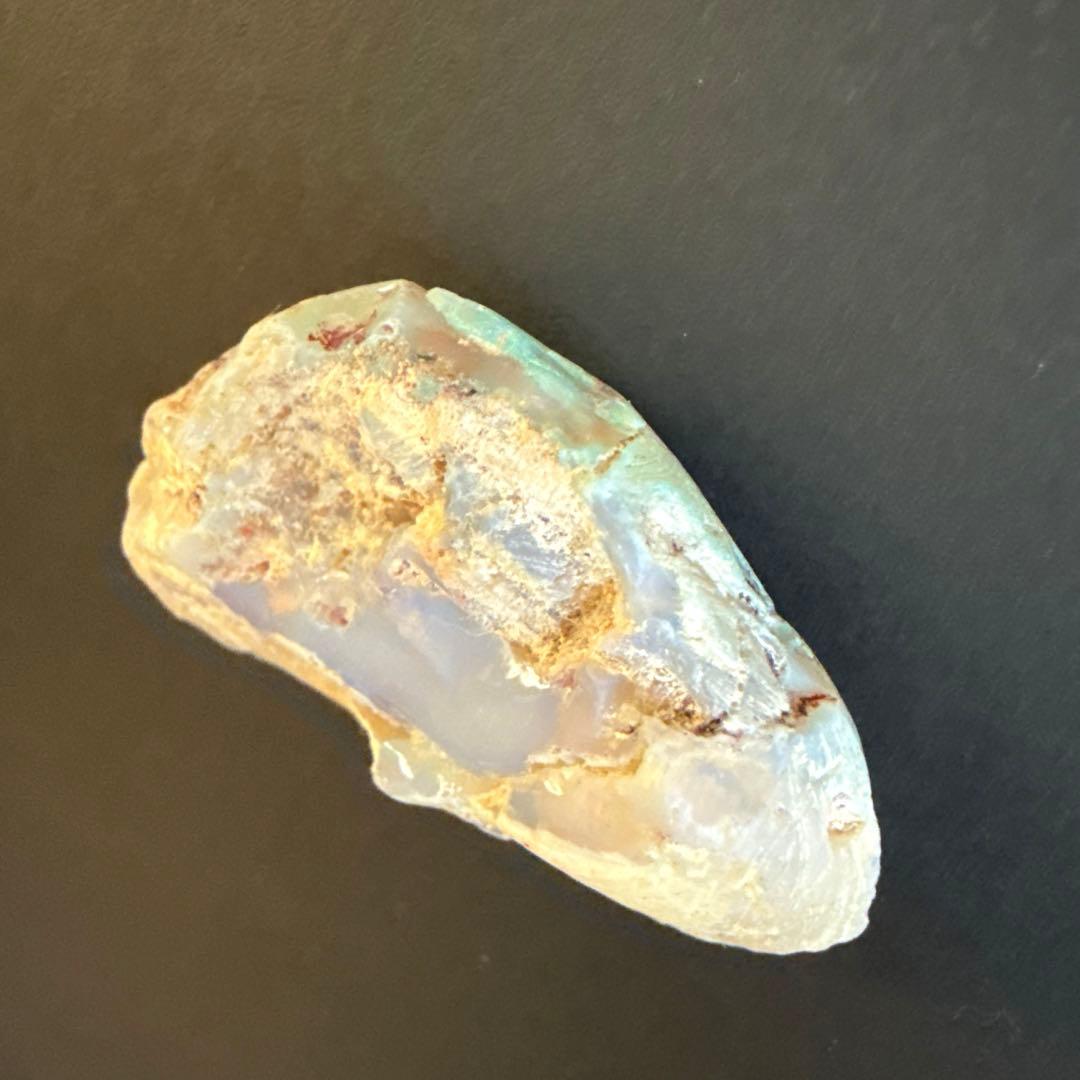 シェルオパール　貝オパール　オパール化貝化石