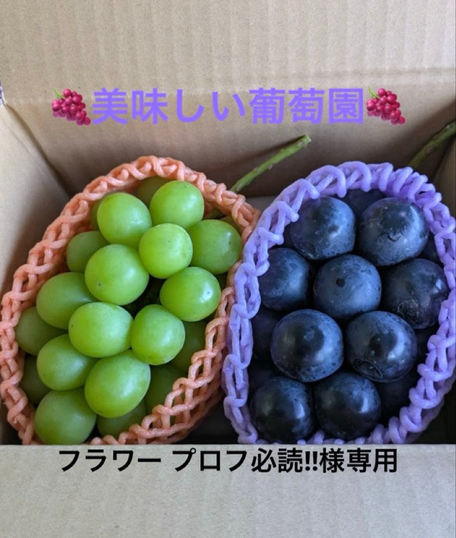 フラワー プロフ必読!!ナガノパープル2房シャインマスカット2房