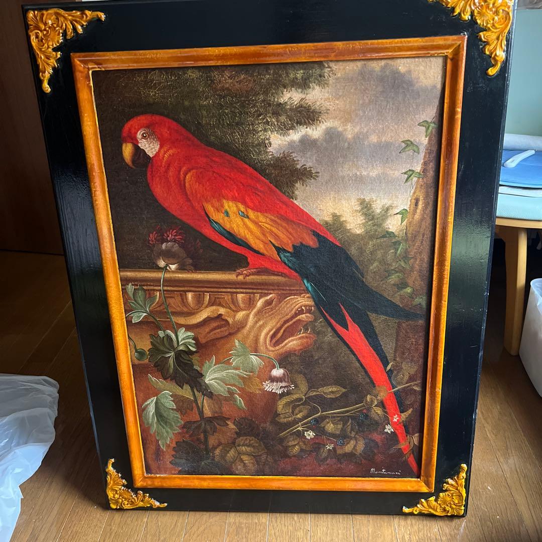 Montanari Papagallo 油彩画 50x70 cm