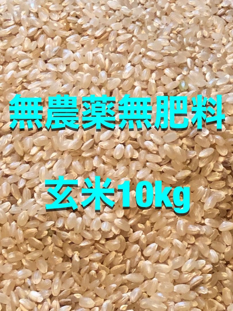 令和七年産 農薬不使用 無肥料 玄米10kg