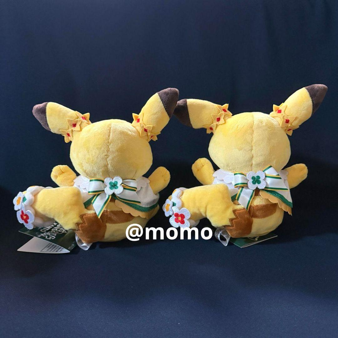 ポケパークカントー カーニバル衣装 ピカチュウ ぬいぐるみ