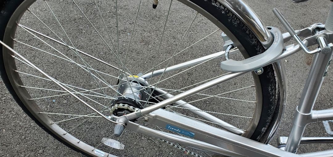 自転車本体 Teru