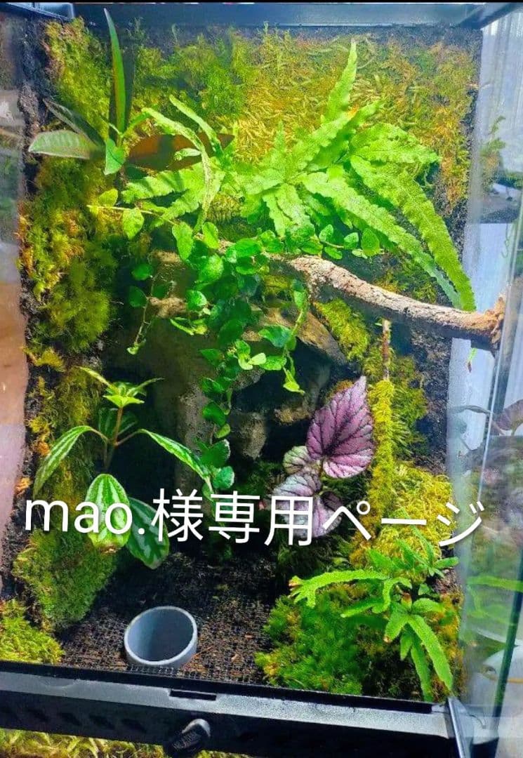 mao.ページ
