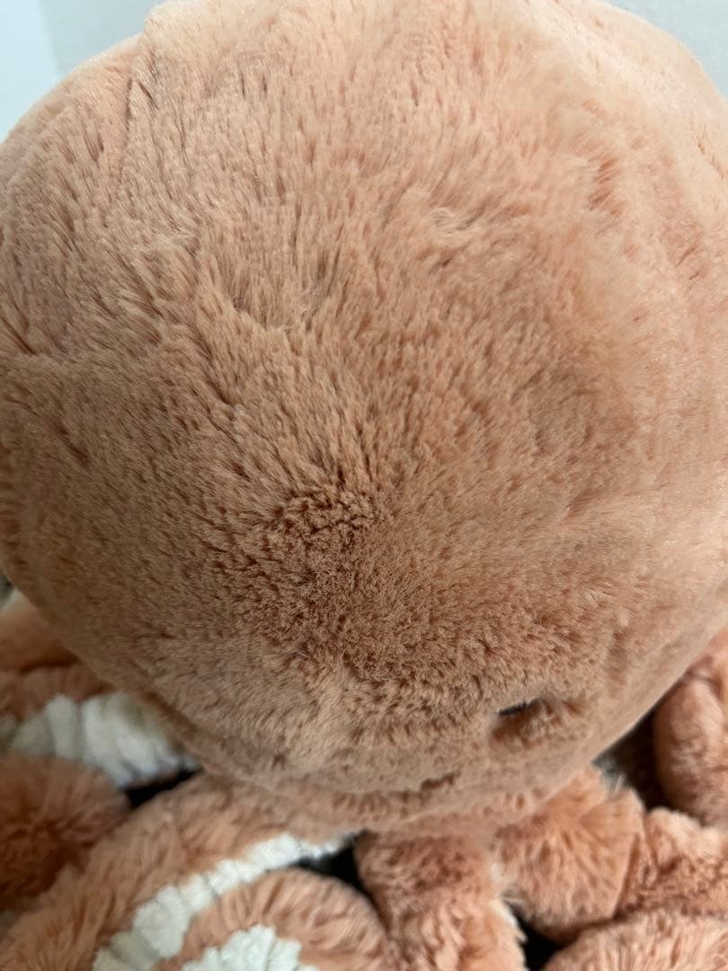 (ジェリーキャット)  オデル タコ Lサイズ