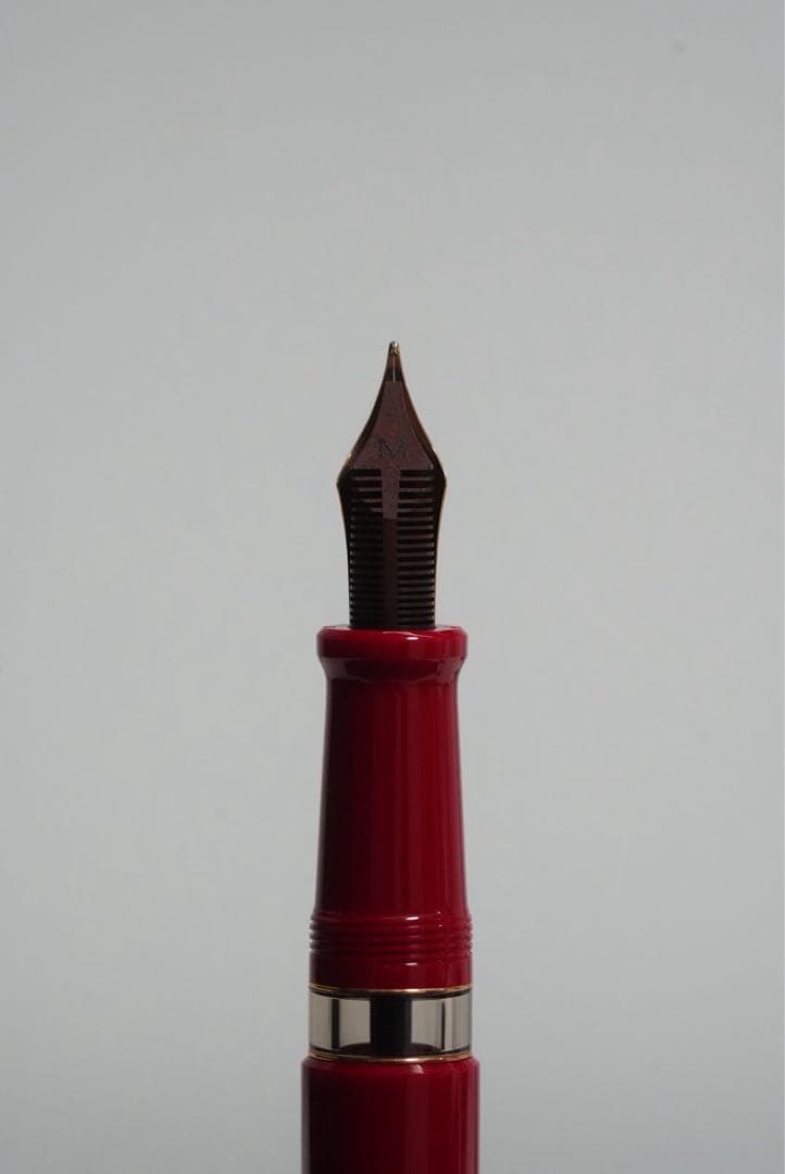 Aurora アウロラ Roma ローマ 万年筆 M 新品 デッドストック品