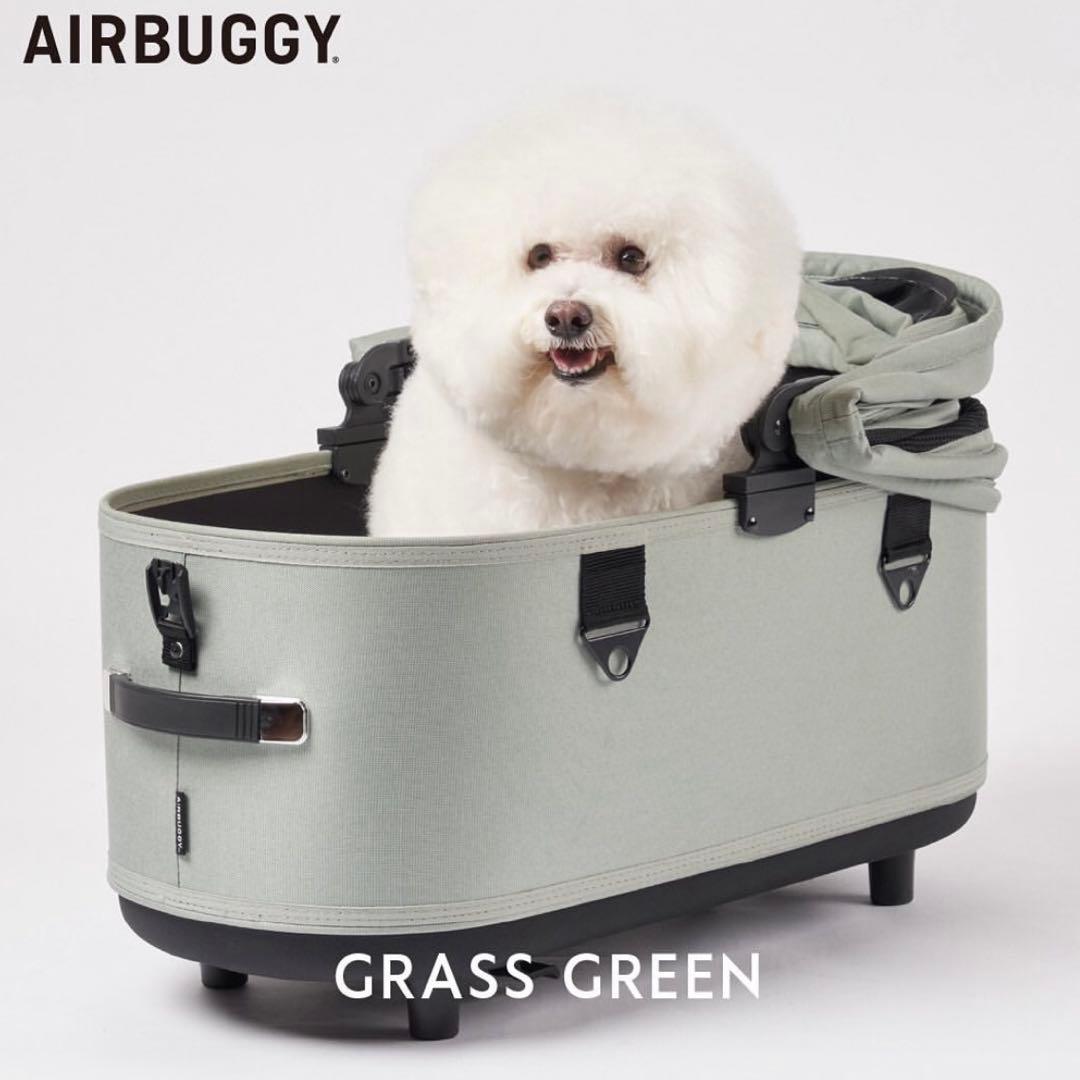 【ロイヤルブルー】