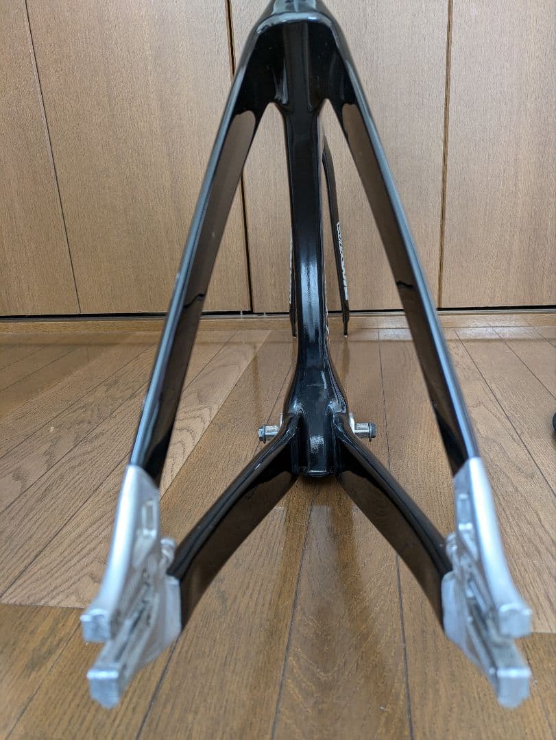 WIAWIS TXT SD カーボンフレーム