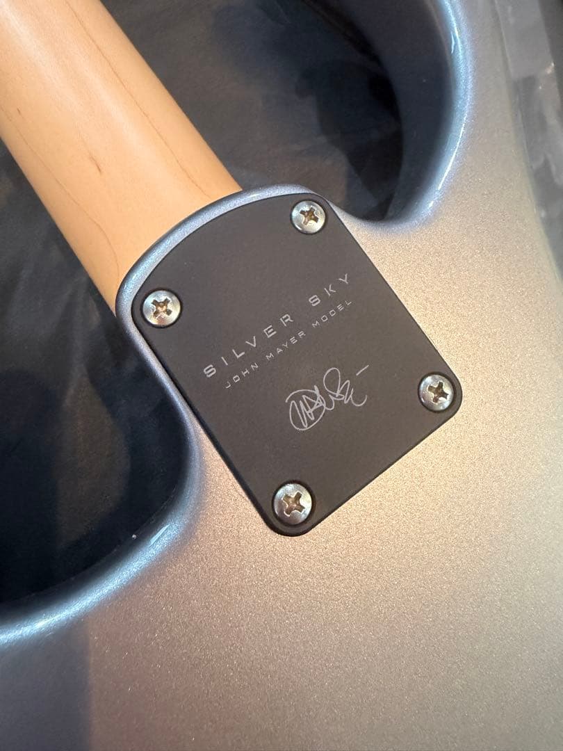PRS Silver Sky タングステン x メイプル