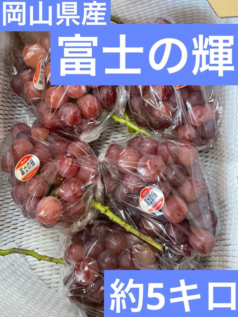 ⑦【岡山県産】富士の輝　約5キロ