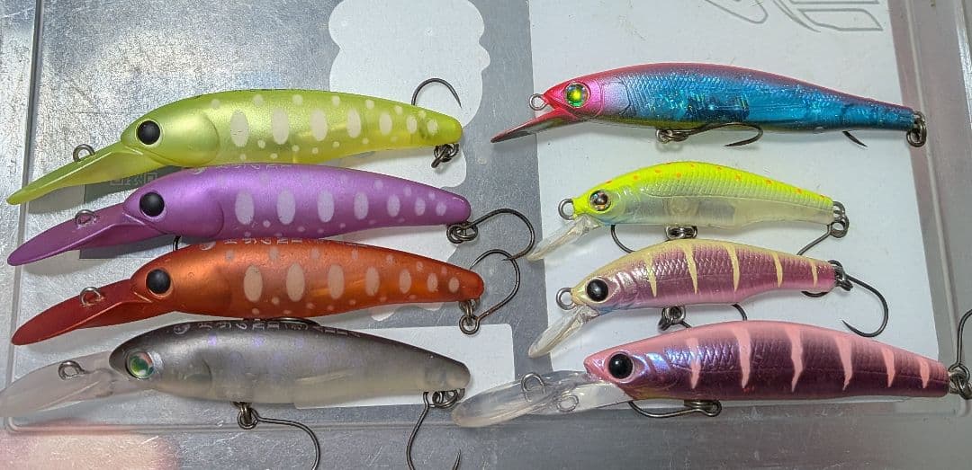 月虫デンスラプスセット