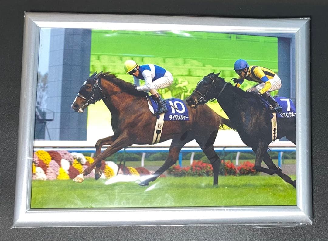 ダイワメジャー 非売品 パネル 新品未開封