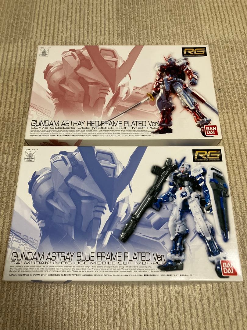 RG シードアストレイ　2種セット