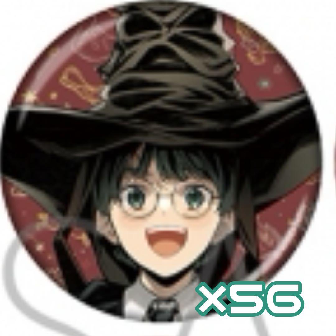 【即購入非推奨△】ハリーポッター 缶バッジまとめ売り 組分け 賢者の石