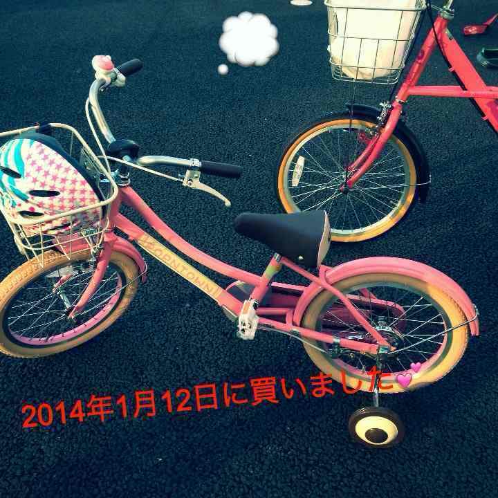 自転車本体 17inch