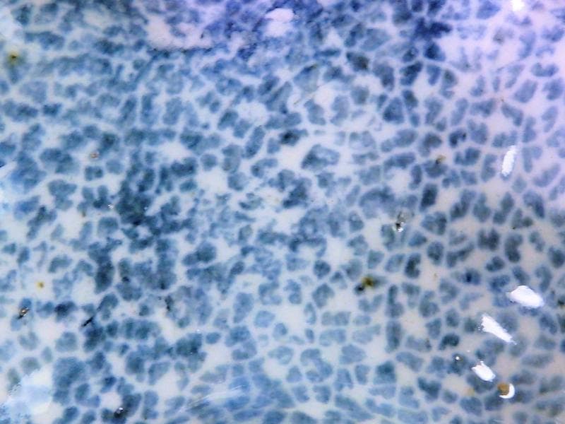 古伊万里　染付　型刷印判　氷裂紋の図　変形皿　江戸期　E655AS-CPo