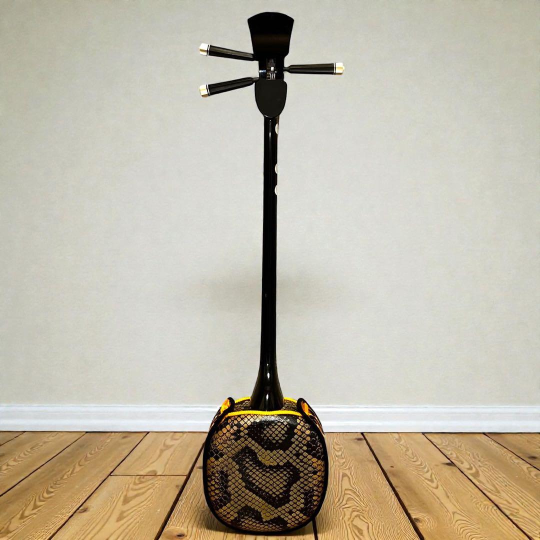 ほぼ未使用級❣️極美品✨ 沖縄三線 人工皮 蛇柄胴 琉球唐草刺繍 ハードケース付き