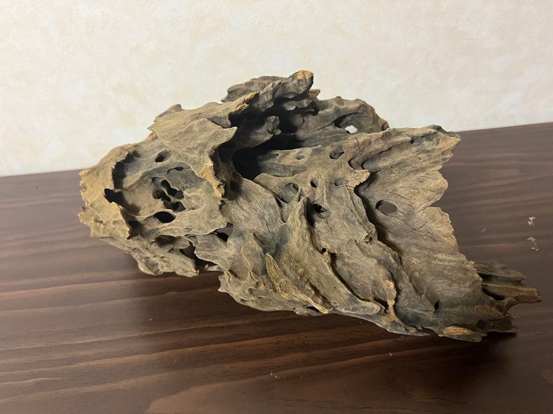 XM-367 ブランチウッド　流木　マシンガンウッド　アクアリウム　沈水確認済