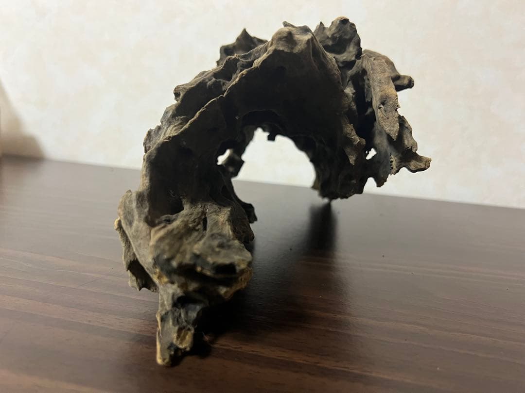 XM-367 ブランチウッド　流木　マシンガンウッド　アクアリウム　沈水確認済