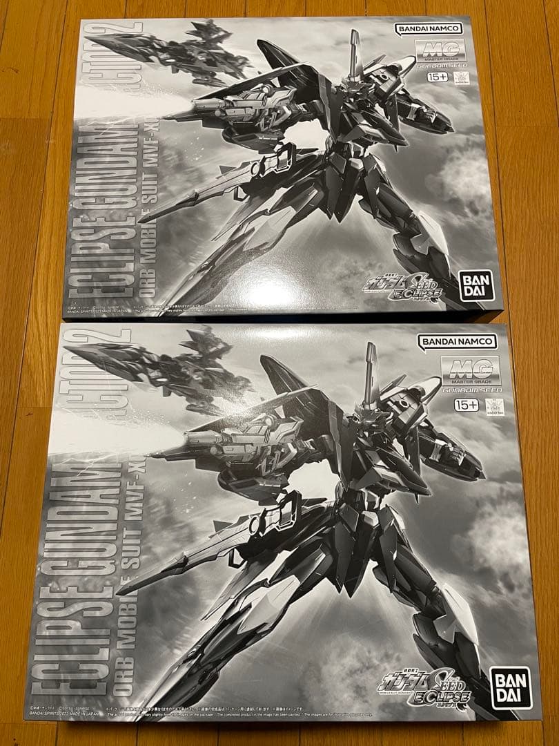 【最安】2個セット MG 1/100 エクリプスガンダム2号機　塗装などに‼️