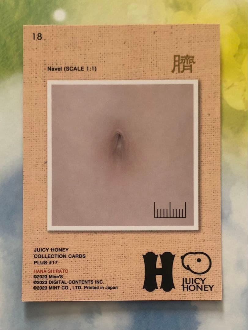 18 白桃はな ジューシーハニー PLUS#17 レギュラーカード