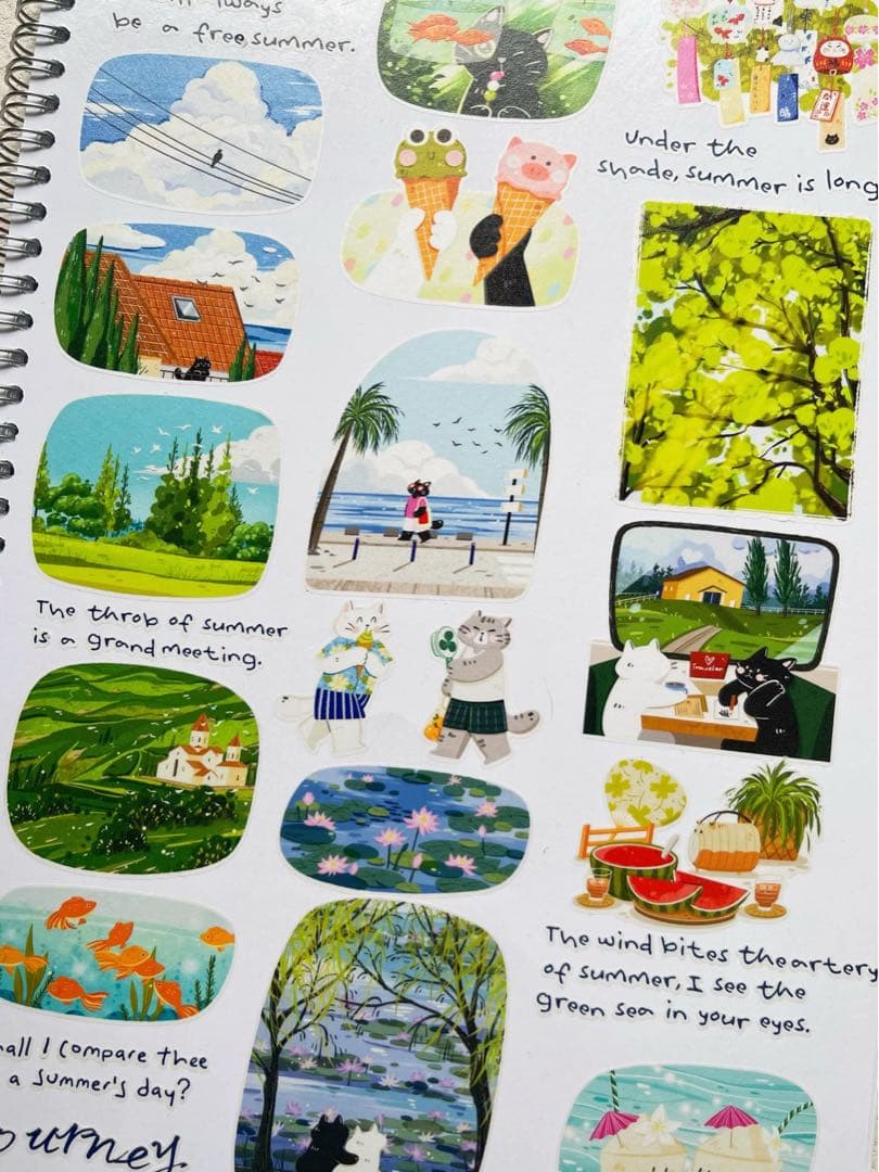 テープ・マスキングテープ summer memory