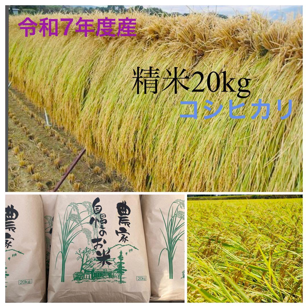 R7信州産天日干しのコシヒカリ精米20キロ