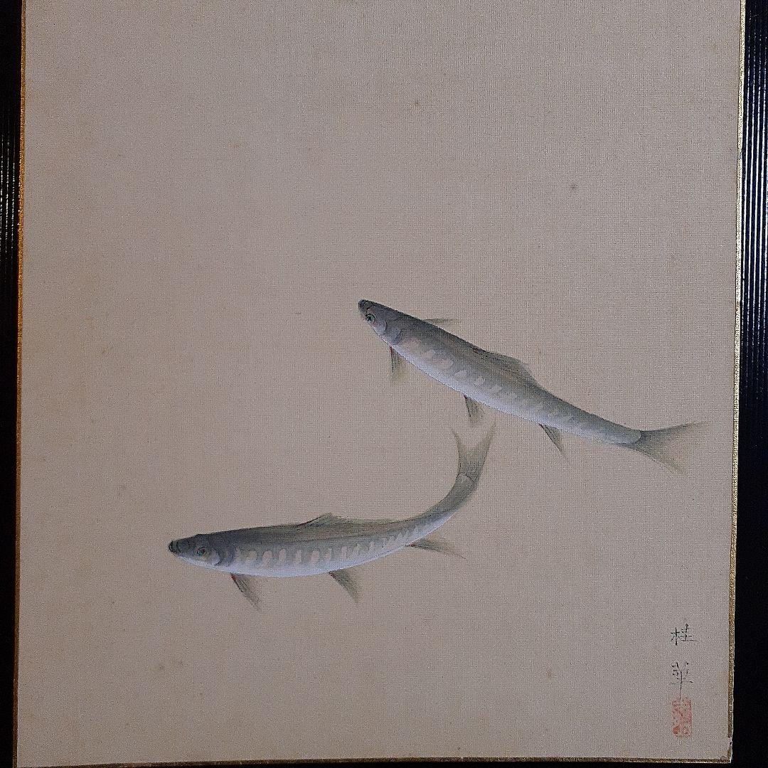 日本画家金島桂華の山女の双魚