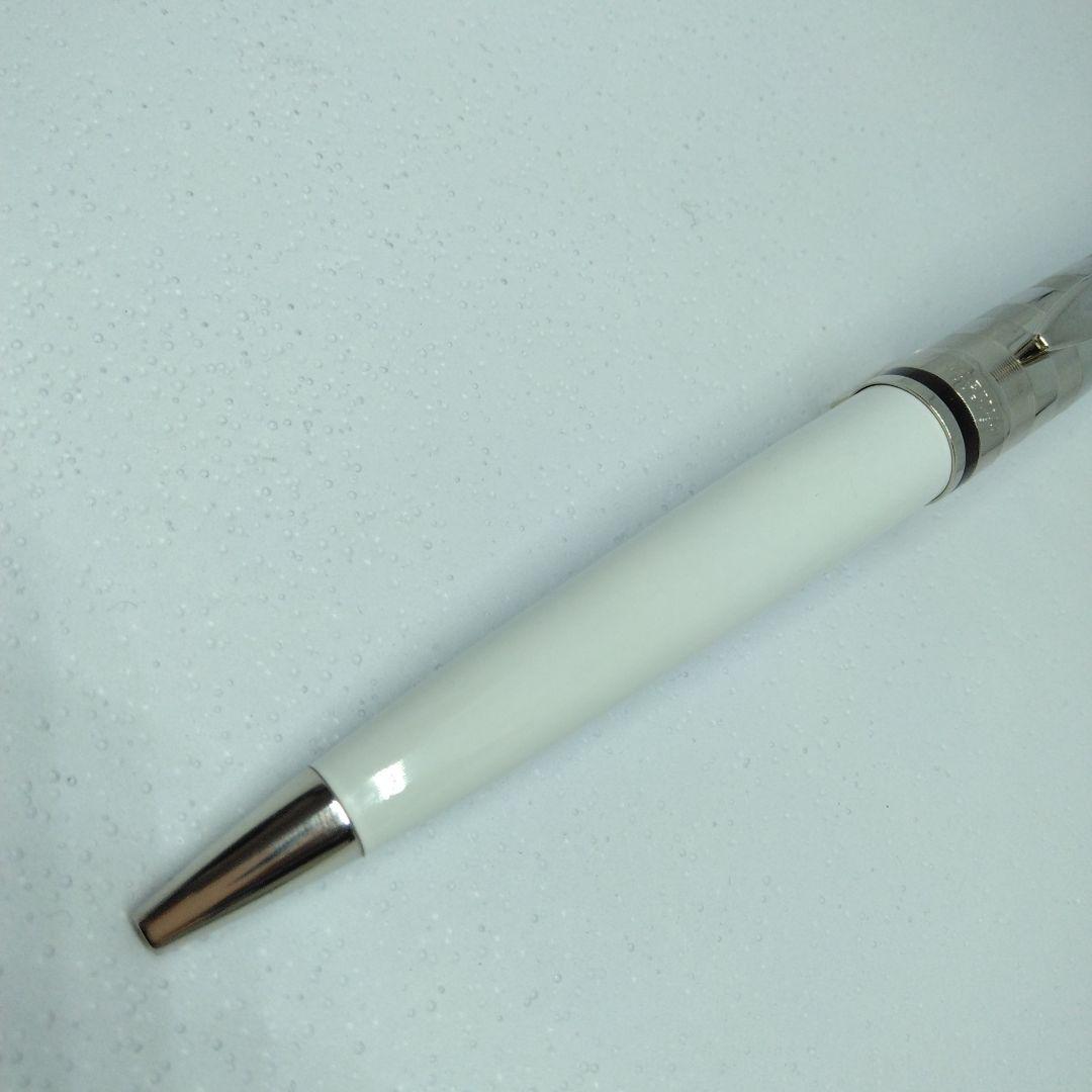 Waterman エキスパートDXホワイトCTBPボールペン