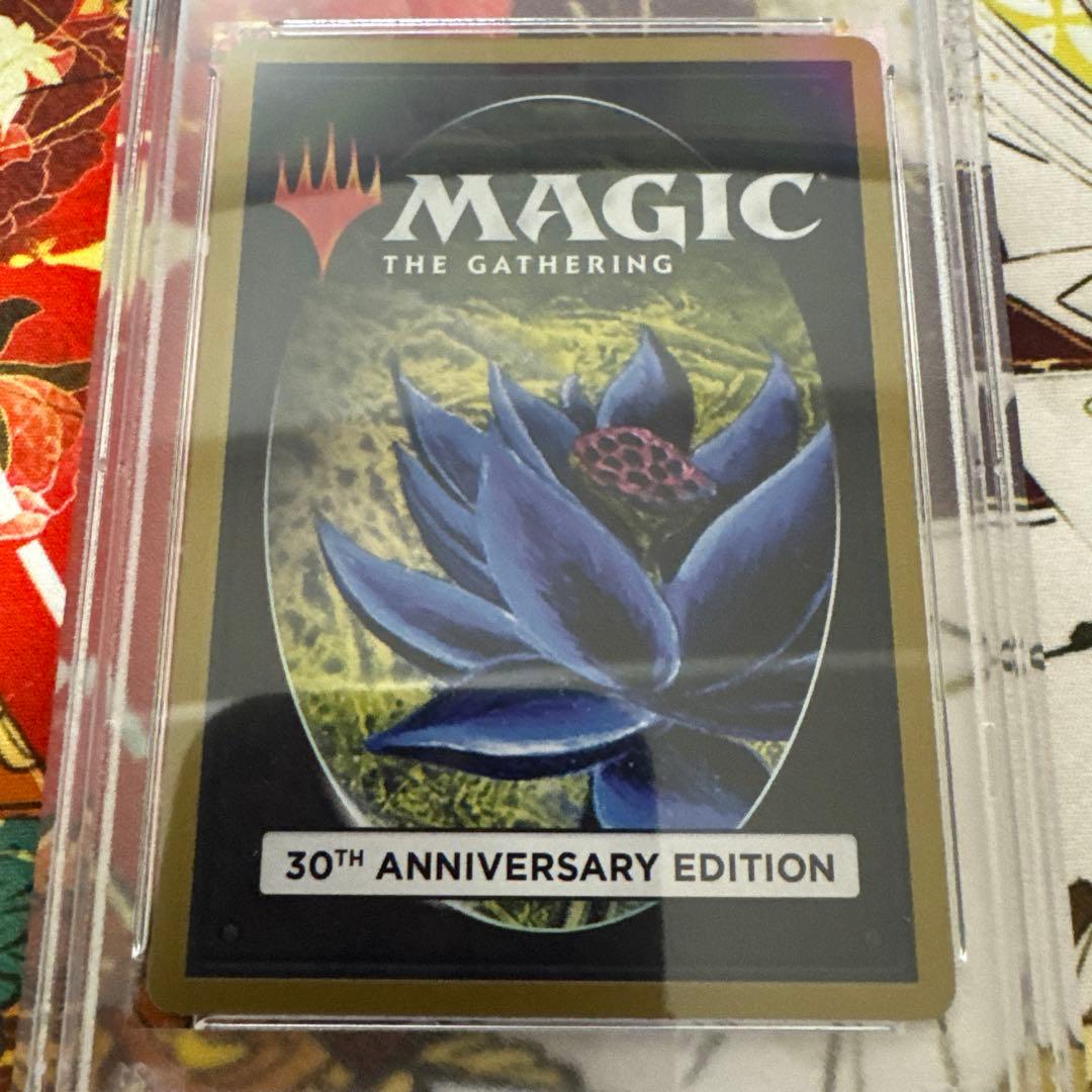 MTG Taiga 旧枠30A PSA10