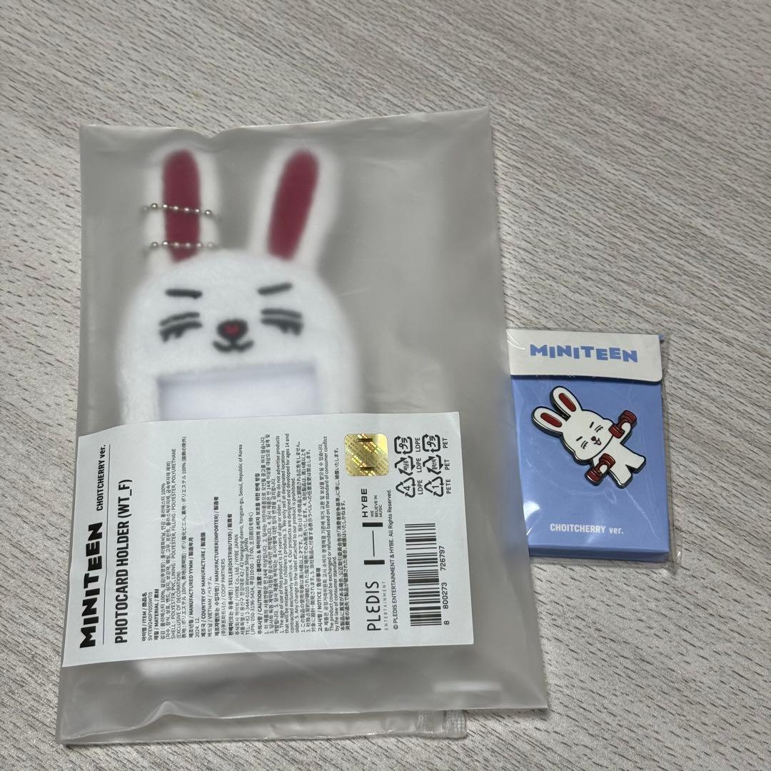 miniteen エスクプス トレカケース ピンバッジ