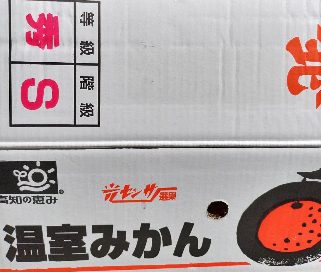 コスモスりんご　高知産温室山北みかん　Ｓサイズ　５Kg