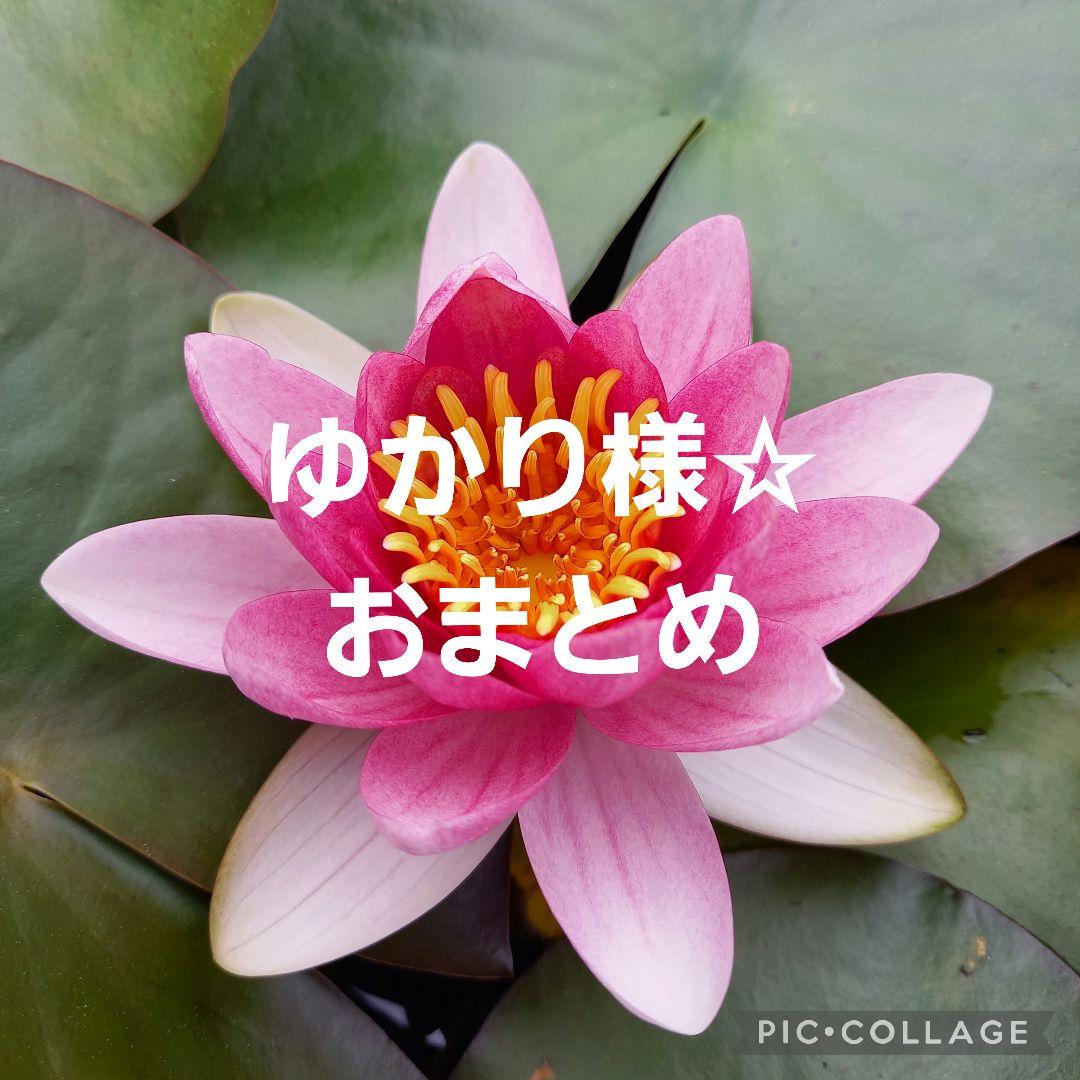 ゆかり様☆おまとめ