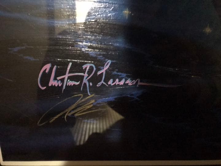 クリスチャン・リース・ラッセン作 Sea Flight