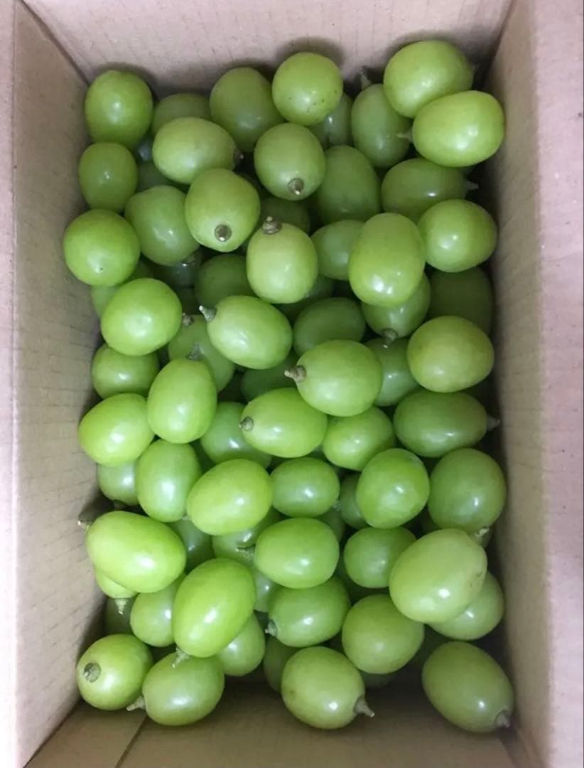 Mikeo 優秀品シャインマスカット　箱抜き3キロ　山梨　ぶどう