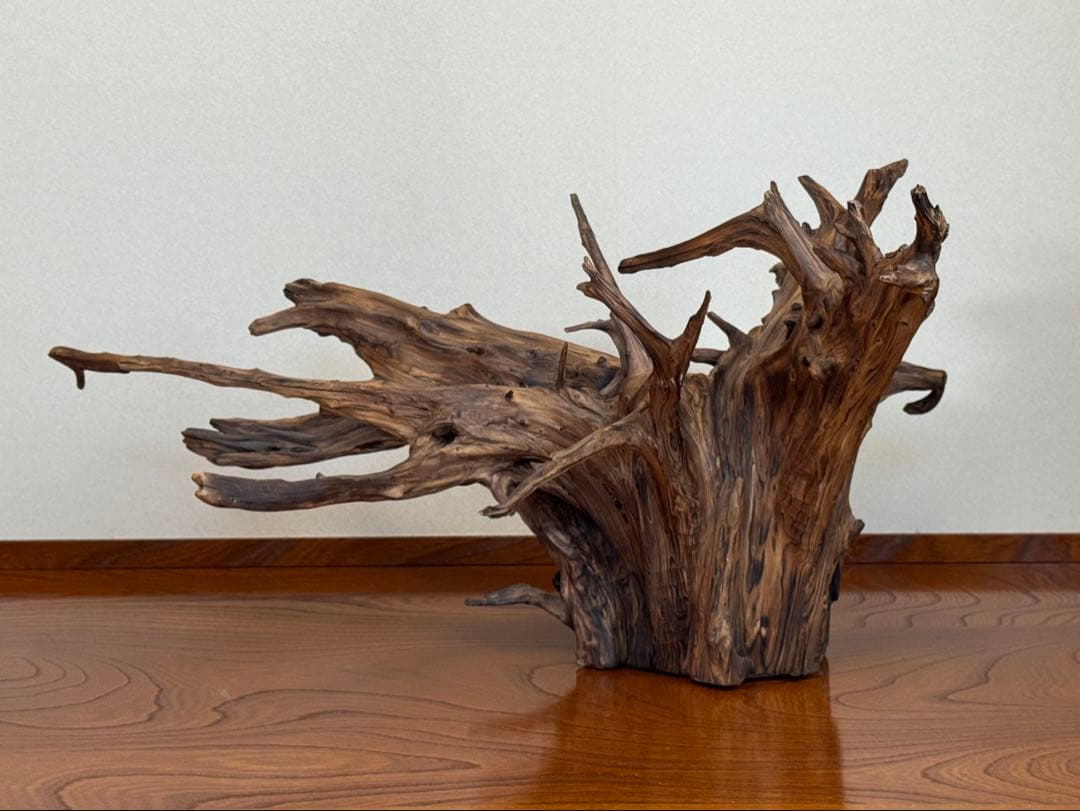とても美しい流木　特大　水槽　インテリア　美術品　アクアリウム　中庭　玄関