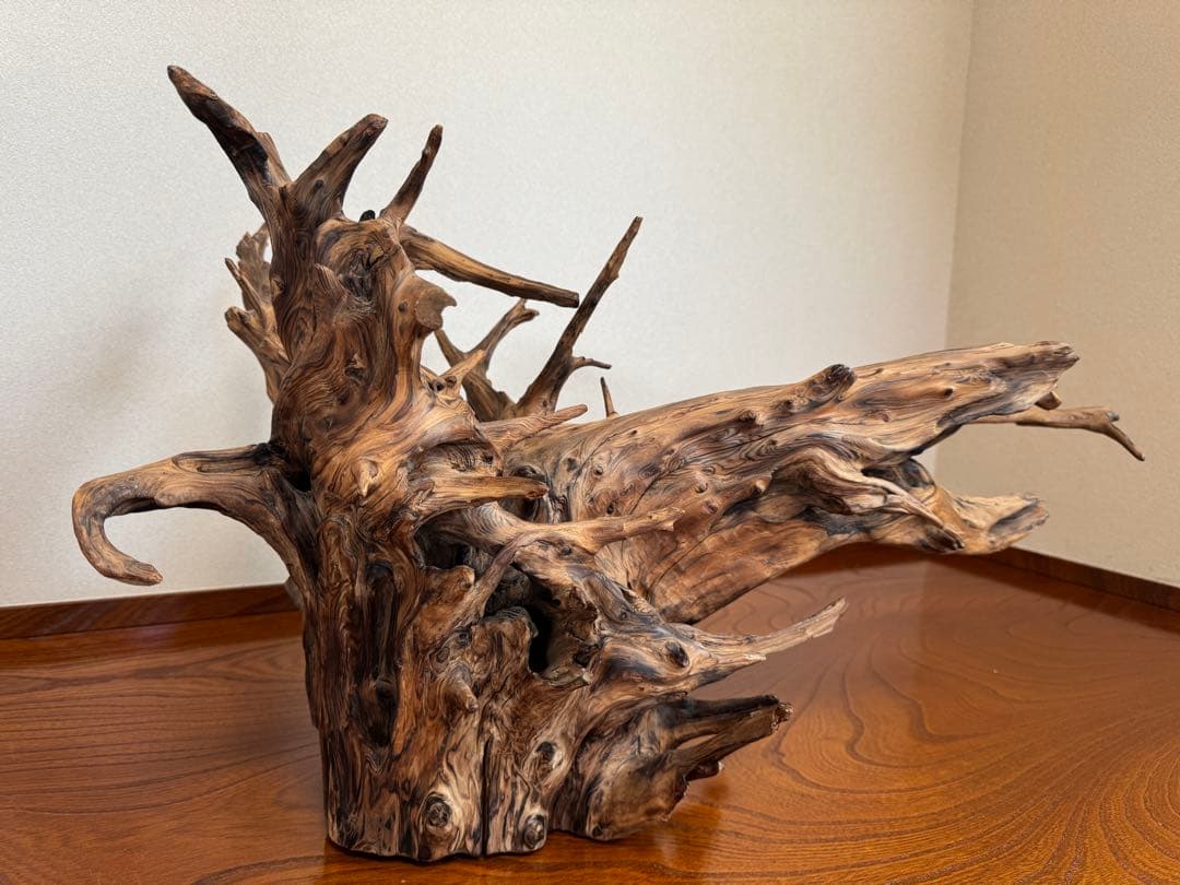 とても美しい流木　特大　水槽　インテリア　美術品　アクアリウム　中庭　玄関