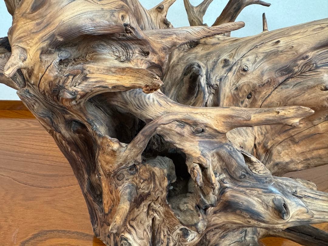 とても美しい流木　特大　水槽　インテリア　美術品　アクアリウム　中庭　玄関