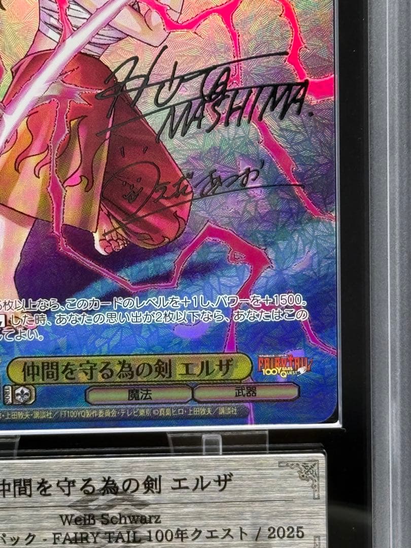 仲間を守る為の剣 エルザ SEC＋　ARS10＋　100年クエスト