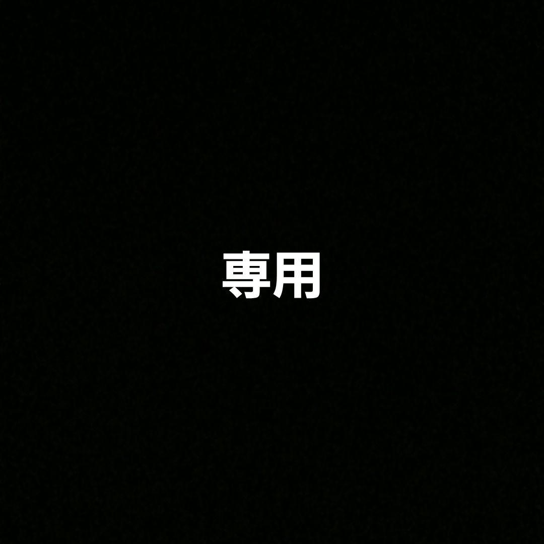 ポケモンカード 基本エネルギー 超 ブリザード プロモ DP レジェンド